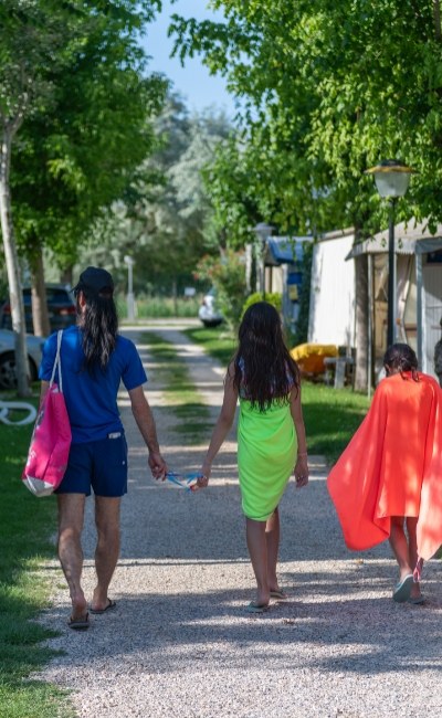 People walking on a tree-lined path in summer.