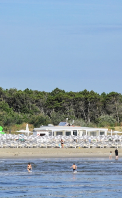 Beach with umbrellas, calm sea, and vegetation in the background.