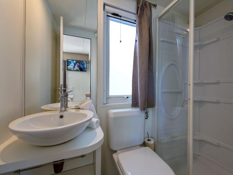 Bagno moderno con doccia, lavabo e finestra.