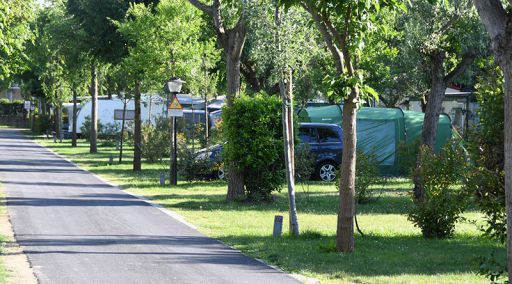 Accommodatie details Plus staanplaats - Bungalow Camping Staanplaatsen Ravenna
